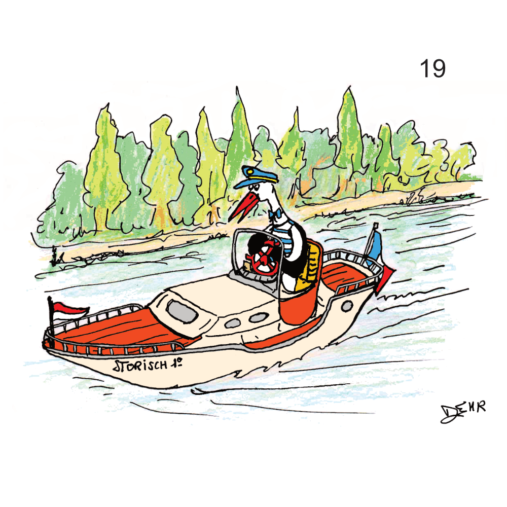 D19