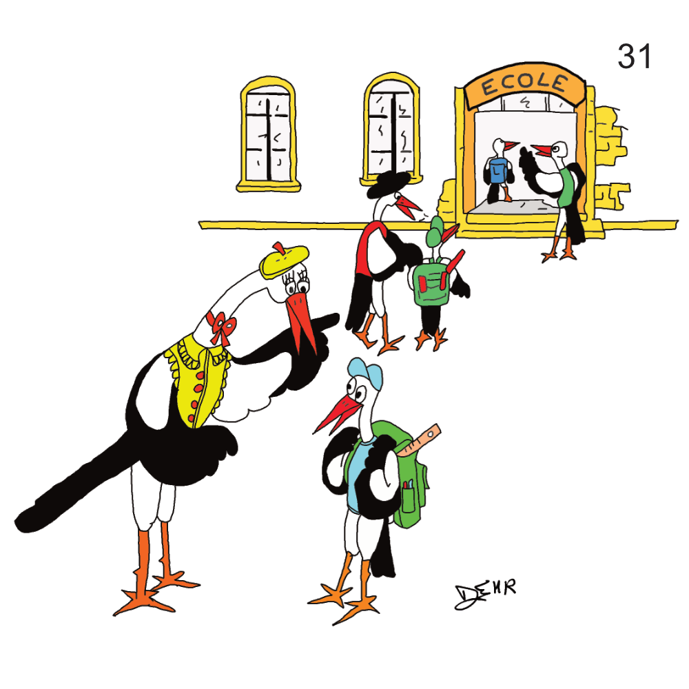 D31